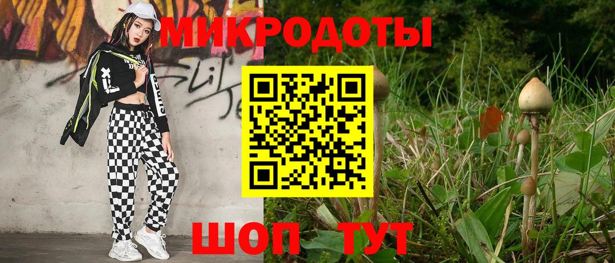 Галлюциногенные грибы Psilocybine cubensis Ржев